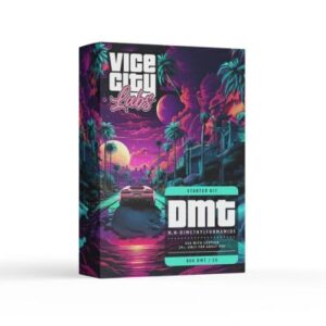 Vice City Labs (Cartridge + Battery) DMT : 1mL (800mg) Premium Starter kit